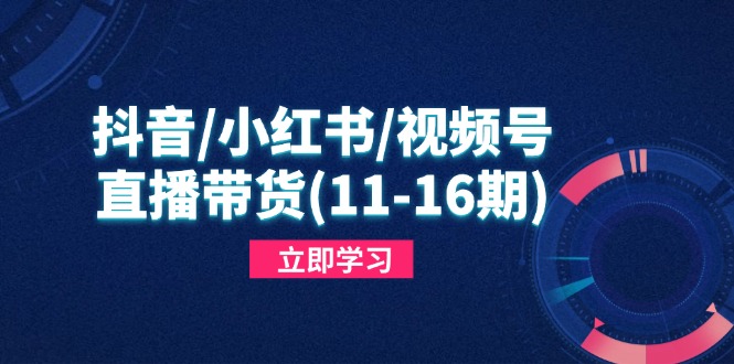 抖音/小红书/视频号/直播带货(11-16期-轻创副业圈