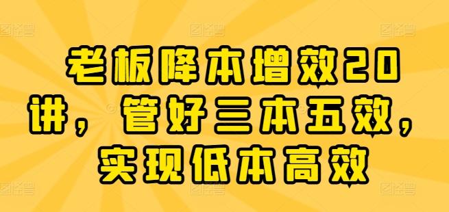 老板降本增效20讲，管好三本五效，实现低本高效-轻创副业圈