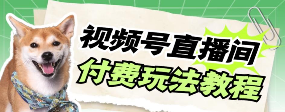 视频号美女付费无人直播，轻松日入500+【详细玩法教程】-轻创副业圈