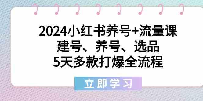 2024小红书养号+流量课：建号、养号、选品，5天多款打爆全流程-轻创副业圈