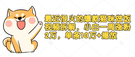 最近很火的爆款猫咪做饭视频拆解，小白一周涨粉2万，单条10万+播放(附保姆级教程)-轻创副业圈