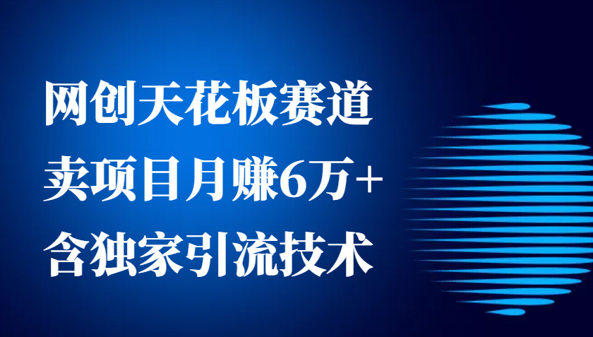 网创天花板赛道，卖项目月赚6万+，含独家引流技术(共26节课)-轻创副业圈