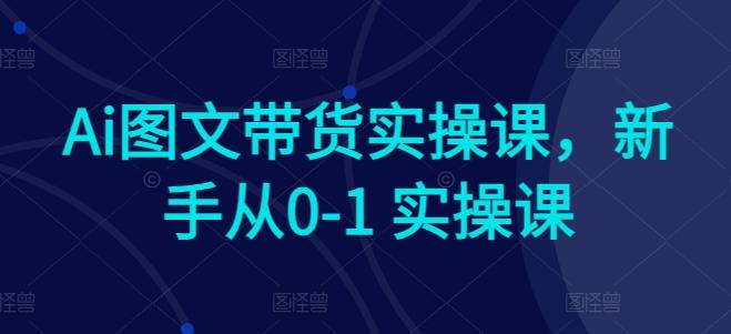 Ai图文带货实操课，新手从0-1 实操课-轻创副业圈