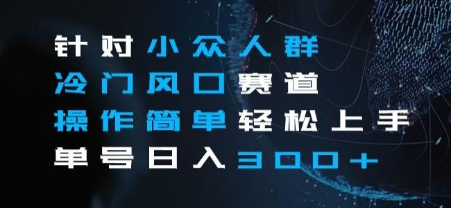 针对小众人群冷门风口赛道，操作简单轻松上手单号日入300+-轻创副业圈