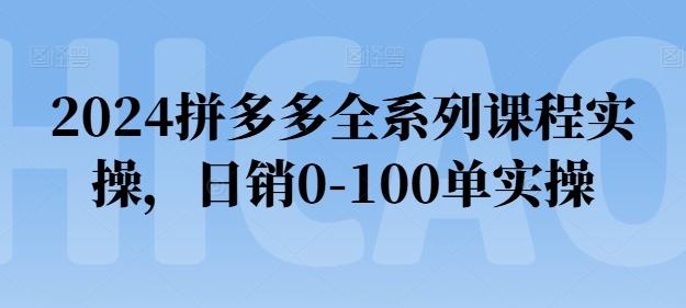 2024拼多多全系列课程实操，日销0-100单实操【必看】-轻创副业圈