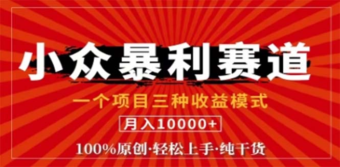 视频号最新爆火赛道，三种可收益模式，0粉新号条条原创条条热门 日入1000+-轻创副业圈
