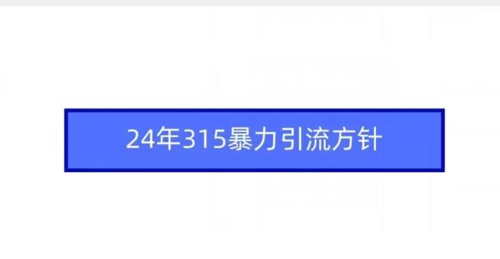 24年315暴力引流方针-轻创副业圈