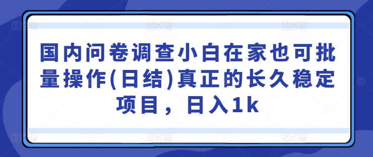 国内问卷调查小白在家也可批量操作(日结)真正的长久稳定项目，日入1k【揭秘】-轻创副业圈