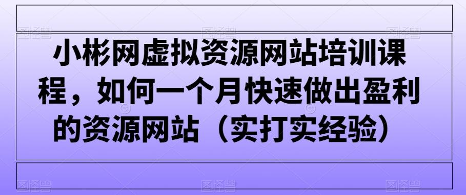 小彬网虚拟资源网站培训课程，如何一个月快速做出盈利的资源网站(实打实经验)-轻创副业圈