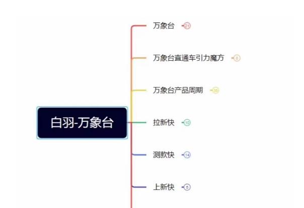 白羽·直引万搜索全篇，从0-1，多个类目实操经验总结付费-轻创副业圈