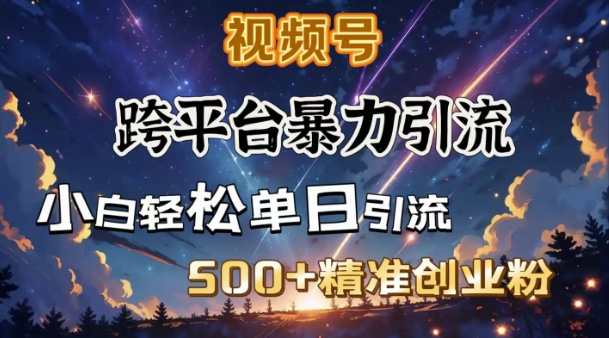 跨平台暴力引流，私域完美闭环，日引500+精准创业粉-轻创副业圈