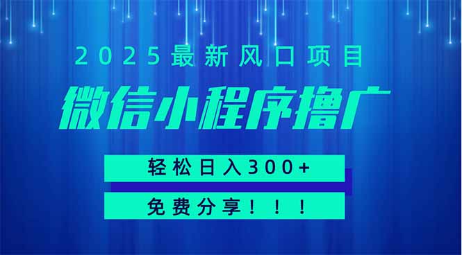 微信小程序撸广，最新风口项目，日入300+ 免费分享 可批量操作 小白可…-轻创副业圈
