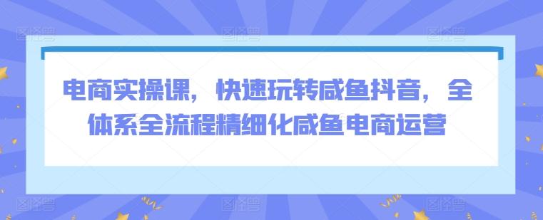电商实操课，快速玩转咸鱼抖音，全体系全流程精细化咸鱼电商运营-轻创副业圈