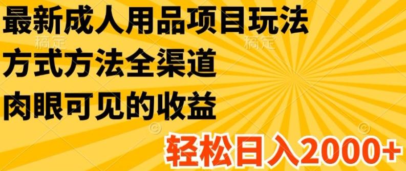 最新成人用品项目玩法，方式方法全渠道，轻松日入2K+【揭秘】-轻创副业圈