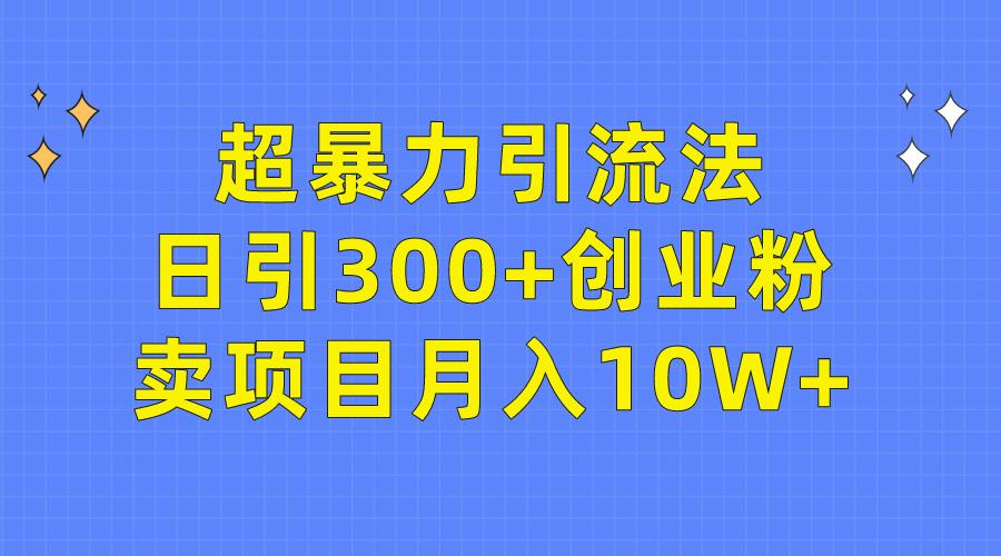 (9954期)超暴力引流法，日引300+创业粉，卖项目月入10W+-轻创副业圈