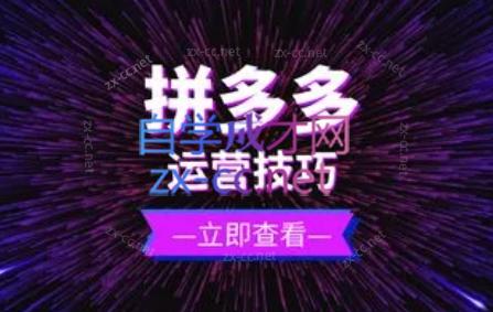 力辛电商·拼多多强付费店群玩法-轻创副业圈