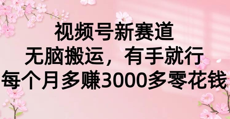 (9278期)视频号新赛道，无脑搬运，有手就行，每个月多赚3000多零花钱-轻创副业圈
