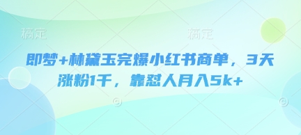 即梦+林黛玉完爆小红书商单，3天涨粉1千，靠怼人月入5k+-轻创副业圈