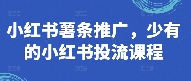 小红书薯条推广，少有的小红书投流课程-轻创副业圈