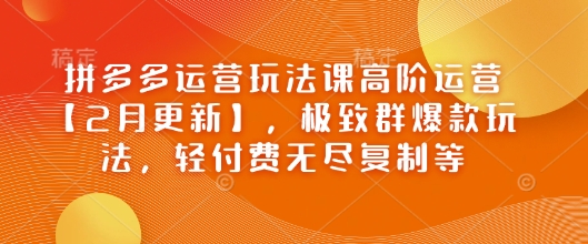 拼多多运营玩法课高阶运营【2月更新】，极致群爆款玩法，轻付费无尽复制等-轻创副业圈