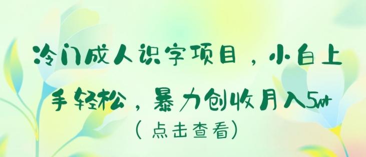 冷门成人识字项目，小白上手轻松，暴力创收月入5w+【揭秘】-轻创副业圈