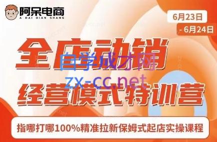 阿呆电商·全店动销经营模式特训营(线下录音+思维导图)-轻创副业圈