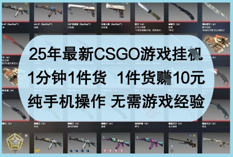 25年最新CSGO游戏挂G，1分钟1件货，1件货挣10元，纯手机操作，无需游戏经验【揭秘】-轻创副业圈