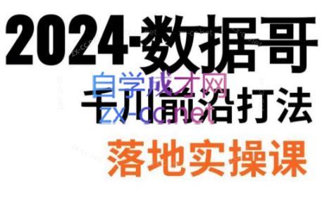 数据哥·2024年千川前沿打法落地实操课-轻创副业圈