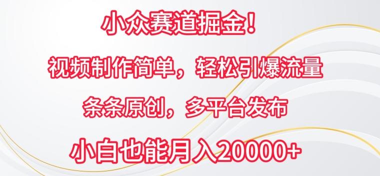 小众赛道掘金，视频制作简单，轻松引爆流量，条条原创，多平台发布【揭秘】-轻创副业圈