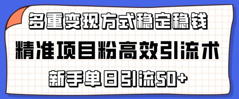 精准项目粉高效引流术，新手单日引流50+，多重变现方式稳定赚钱【揭秘】-轻创副业圈
