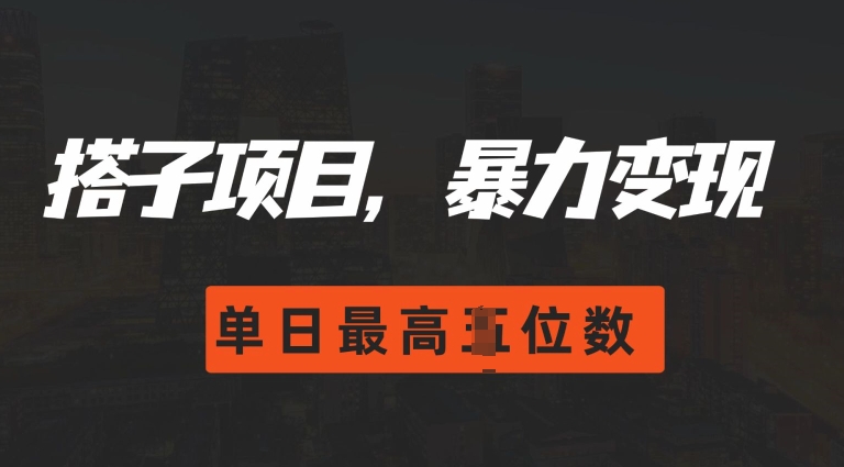 2024搭子玩法，0门槛，暴力变现，单日最高破四位数【揭秘】-轻创副业圈