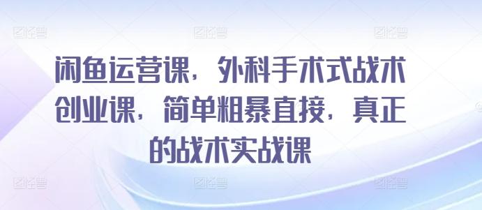 闲鱼运营课，外科手术式战术创业课，简单粗暴直接，真正的战术实战课-轻创副业圈