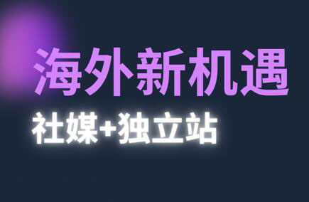 棕榈·2025出海新机遇(社媒+独立站)-轻创副业圈
