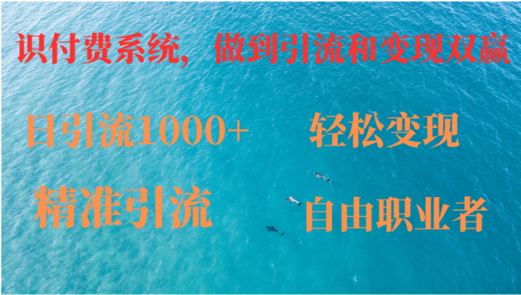 如何搭建自己的知识付费系统，做到引流和变现双赢-轻创副业圈