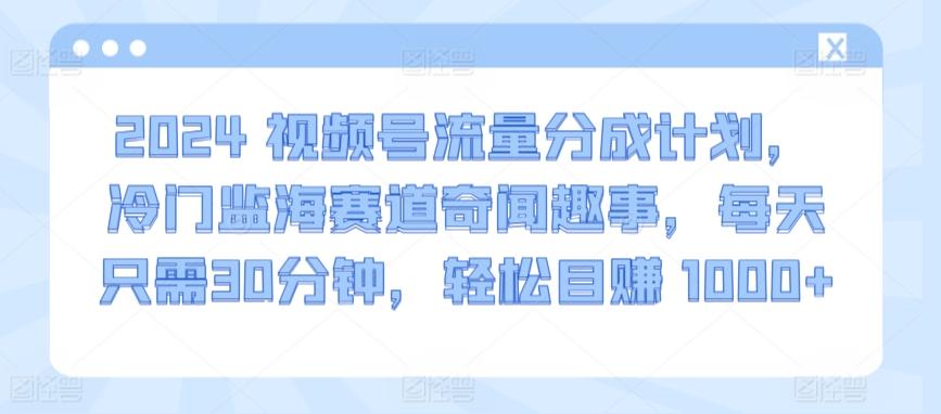 2024视频号流量分成计划，冷门监海赛道奇闻趣事，每天只需30分钟，轻松目赚 1000+【揭秘】-轻创副业圈