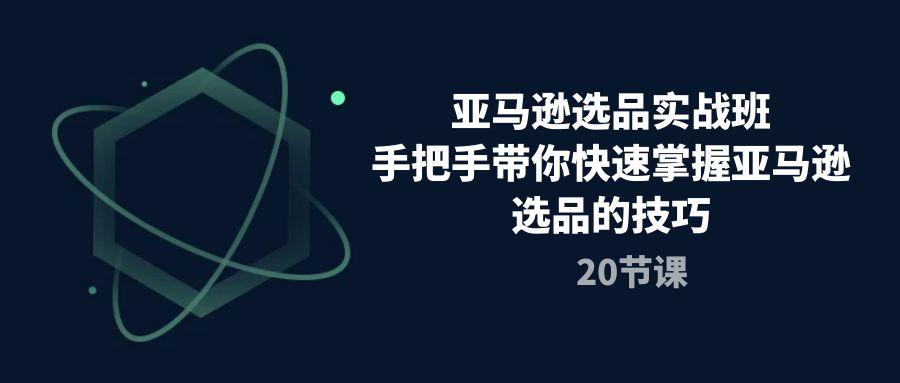 亚马逊选品实战班，手把手带你快速掌握亚马逊选品的技巧(20节课-轻创副业圈