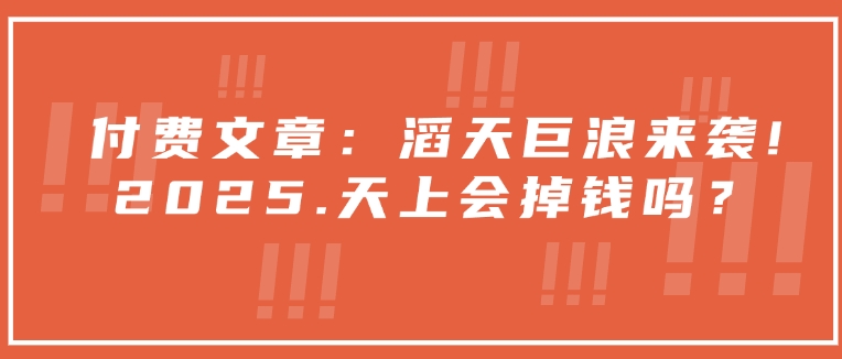 付费文章：滔天巨浪来袭！2025天上会掉钱吗？-轻创副业圈