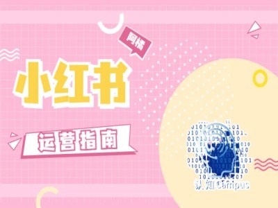 小红书运营指南，没有套路，全是经验-轻创副业圈