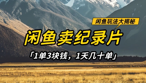 闲鱼卖纪录片1单3块钱，1天几十单，项目稳定有潜力-轻创副业圈