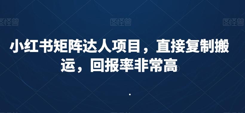 小红书矩阵达人项目，直接复制搬运，回报率非常高-轻创副业圈