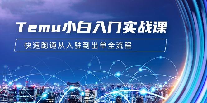 (9295期)Temu小白入门实战课：跨境拼多多电商培训 快速跑通从入驻到出单全流程-12节-轻创副业圈