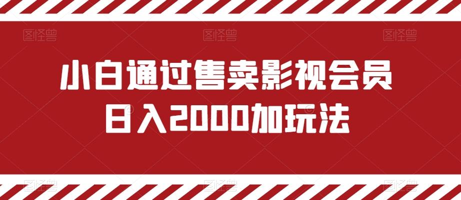 小白通过售卖影视会员日入2000加玩法-轻创副业圈