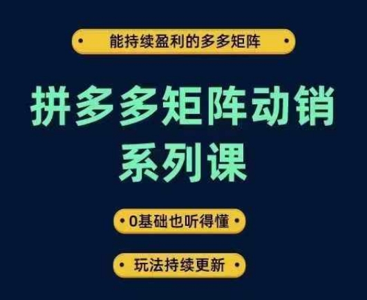 拼多多矩阵动销系列课，能持续盈利的多多矩阵，0基础也听得懂，玩法持续更新-轻创副业圈