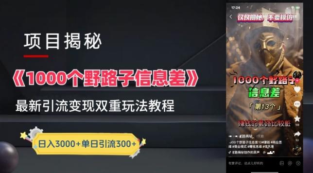 一千个野路子信息差最新玩法教程-变现+引流的玩法具体拆解【揭秘】-轻创副业圈
