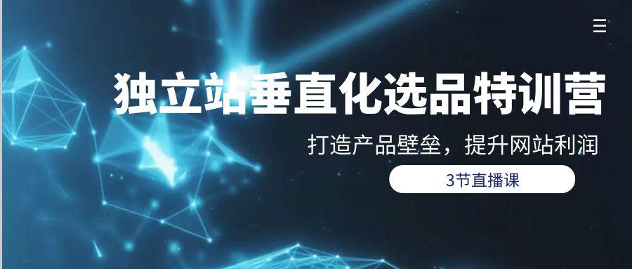 (9925期)独立站-垂直化选品训练营，打造产品壁垒，提升网站利润(3节直播课)-轻创副业圈