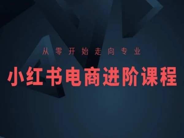 从零开始走向专业，小红书电商进阶课程-轻创副业圈