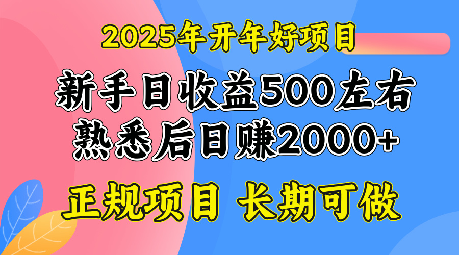 2025开年好项目，单号日收益2000左右-轻创副业圈