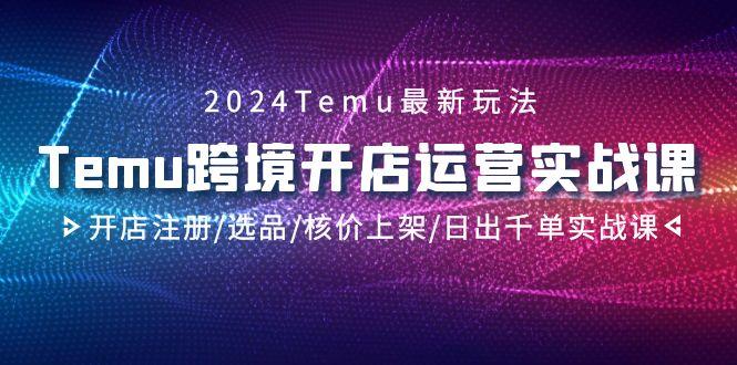 2024Temu跨境开店运营实战课，开店注册/选品/核价上架/日出千单实战课-轻创副业圈