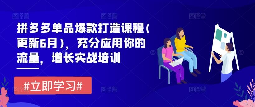 拼多多单品爆款打造课程(更新6月)，充分应用你的流量，增长实战培训-轻创副业圈