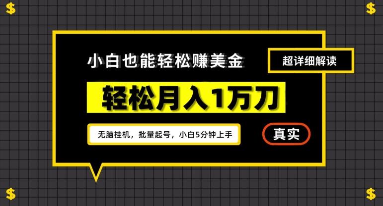 谷歌看广告撸美金2.0，无脑挂机，多号操作，月入1万刀【揭秘】-轻创副业圈